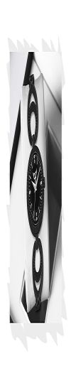 WHITE BIRD Women's Analogue Wrist Watch with Linked Band, 24 MM Pattern Dial
